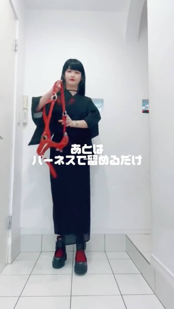 ハーネスで留める