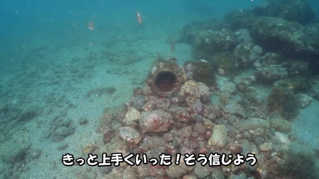 タコ壺に卵を産んだ母タコの子育て