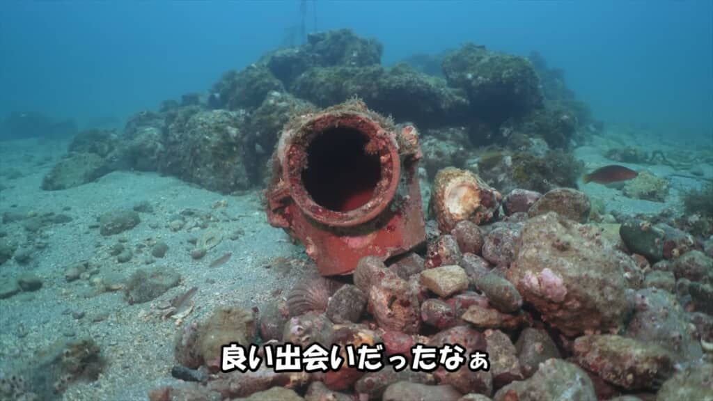 タコ壺に卵を産んだ母タコの子育て