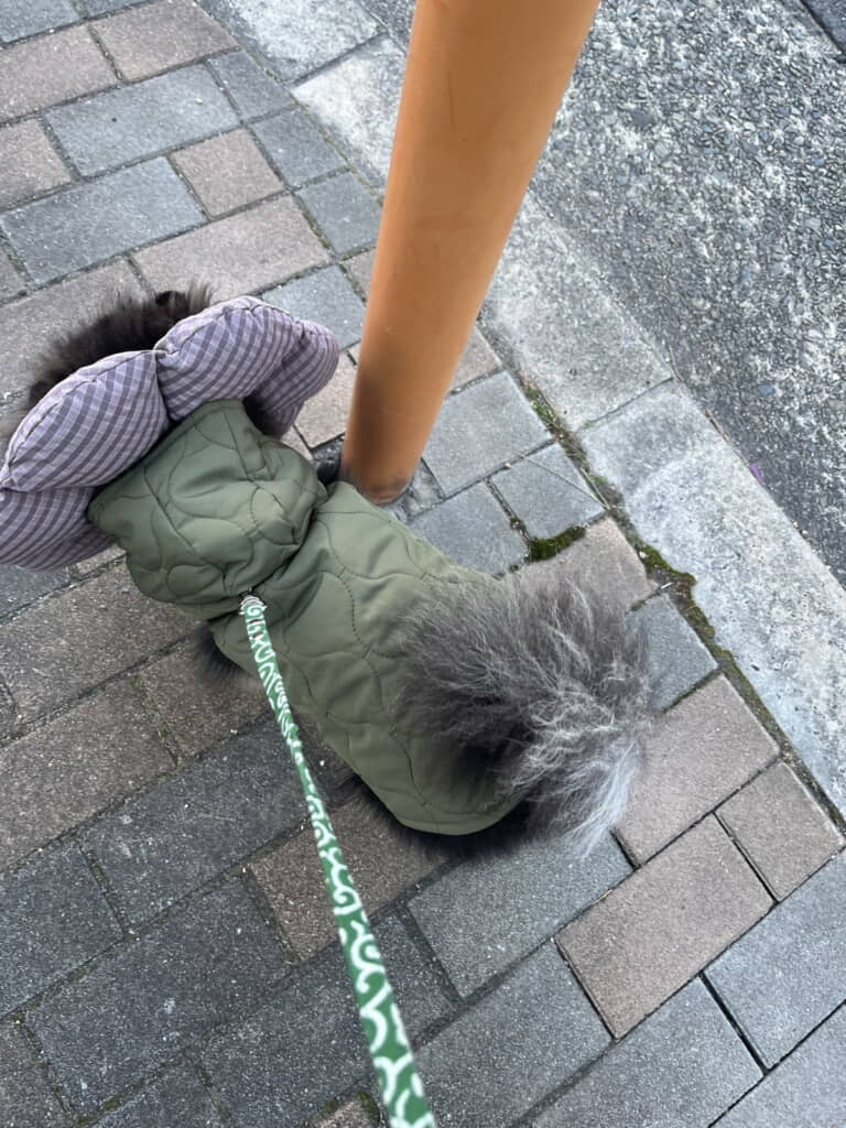 お花だぁああ!!!!!!