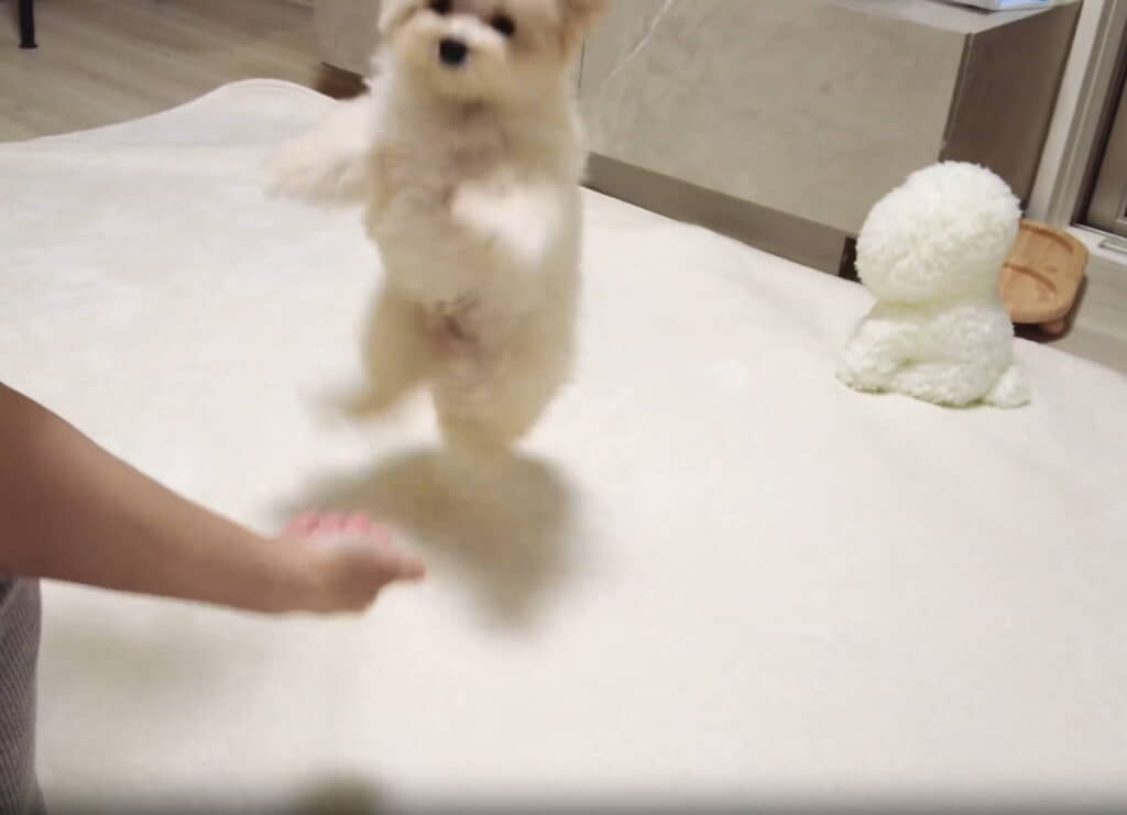 テンション爆上げ