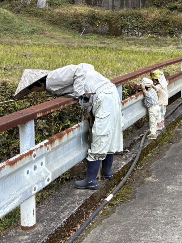 よく見るとカカシだ……！
