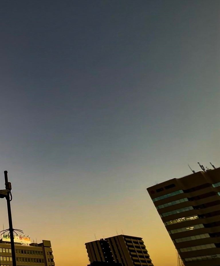 高崎駅で撮ったムクドリの群れが……？