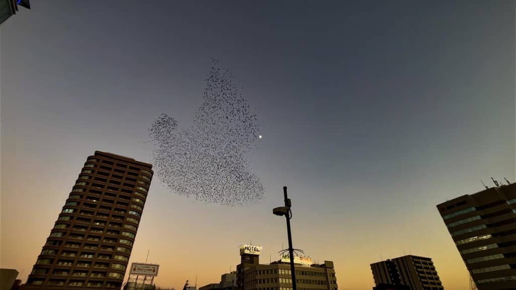 イトーヨーカドーのロゴみたいに！