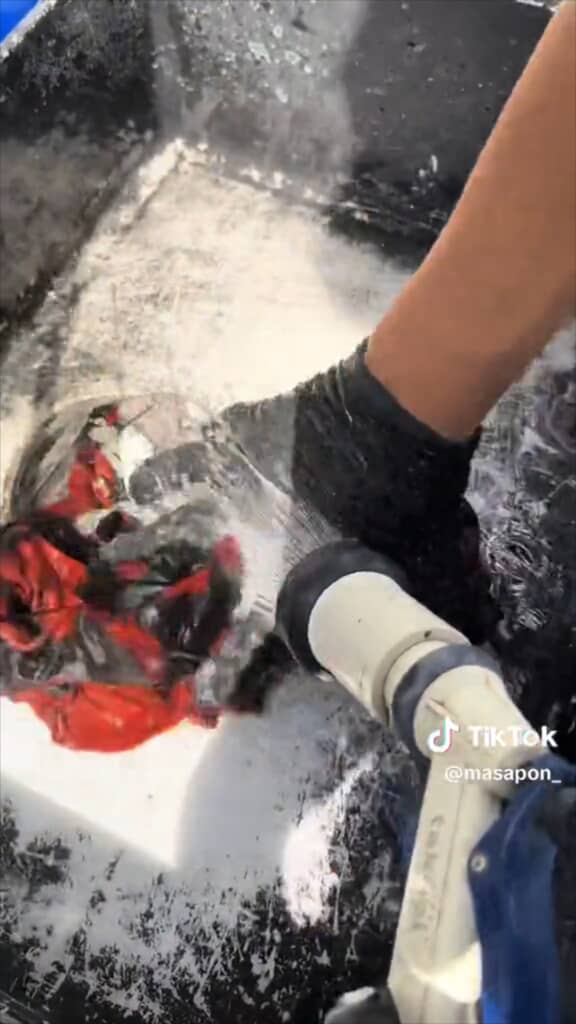 しっかりと水洗い