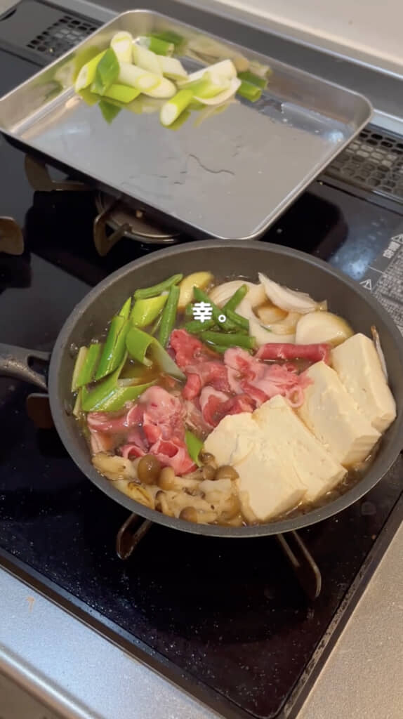 豆腐やねぎもたっぷり