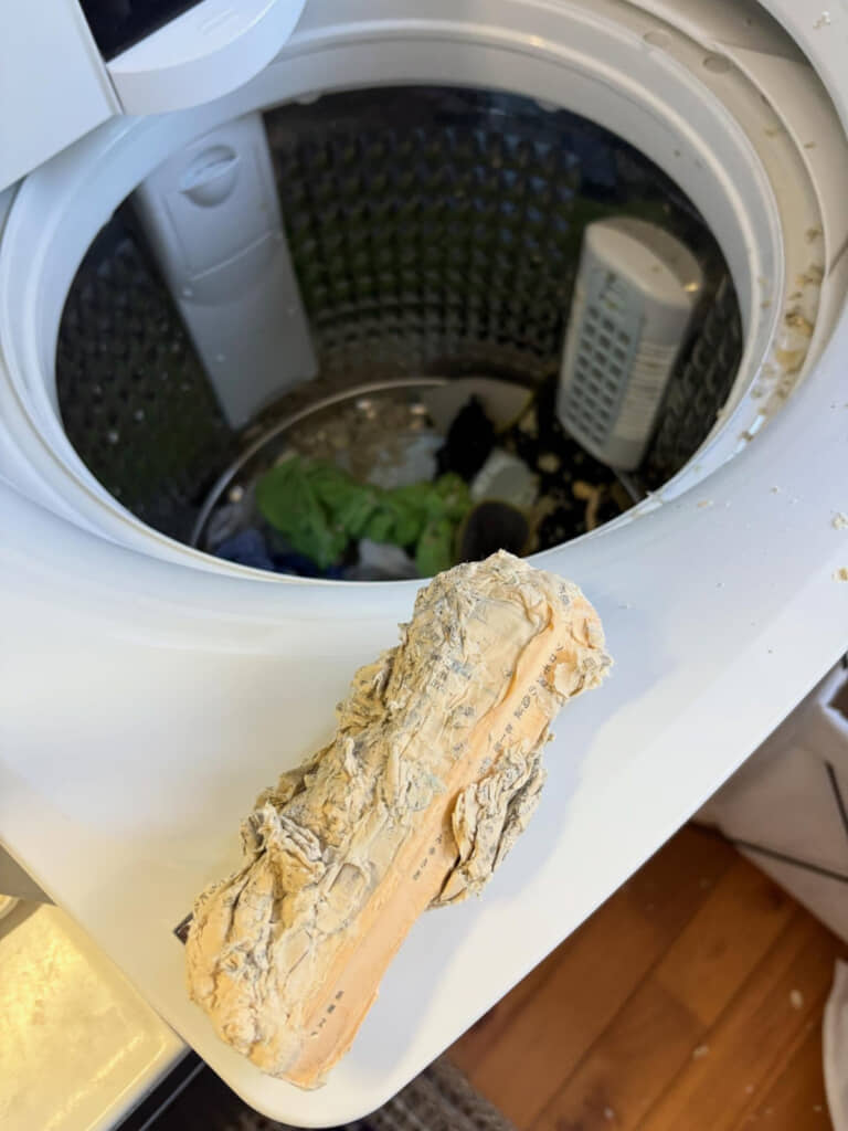 このベージュ色の塊は……？