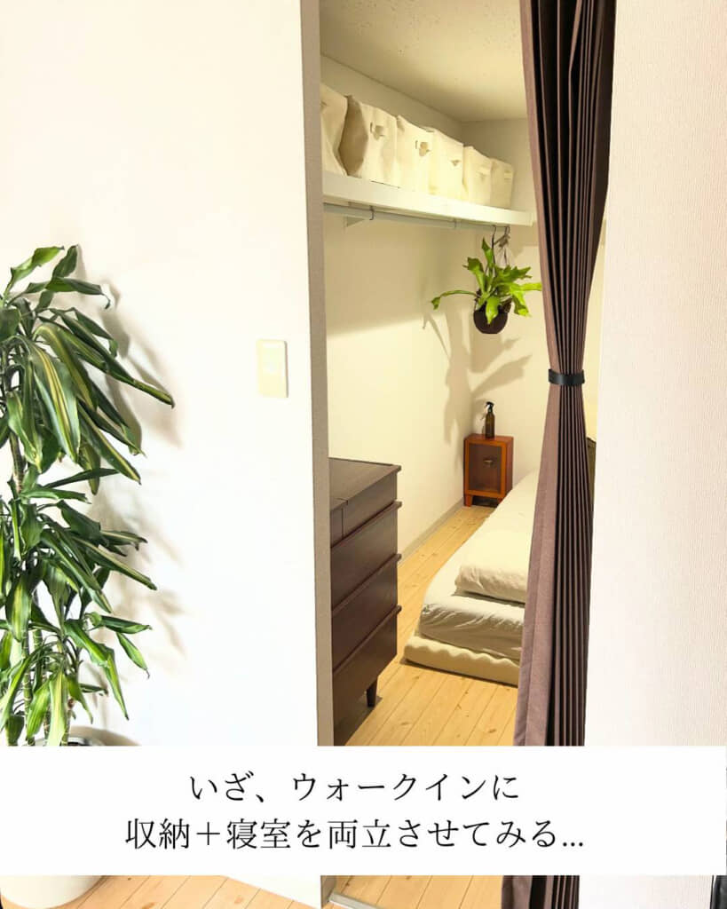 ハンガーパイプには観葉植物をつるすこともできます