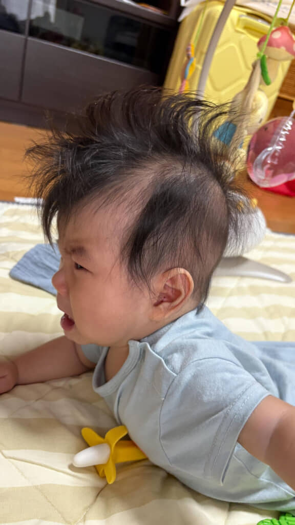 横から見ても圧巻