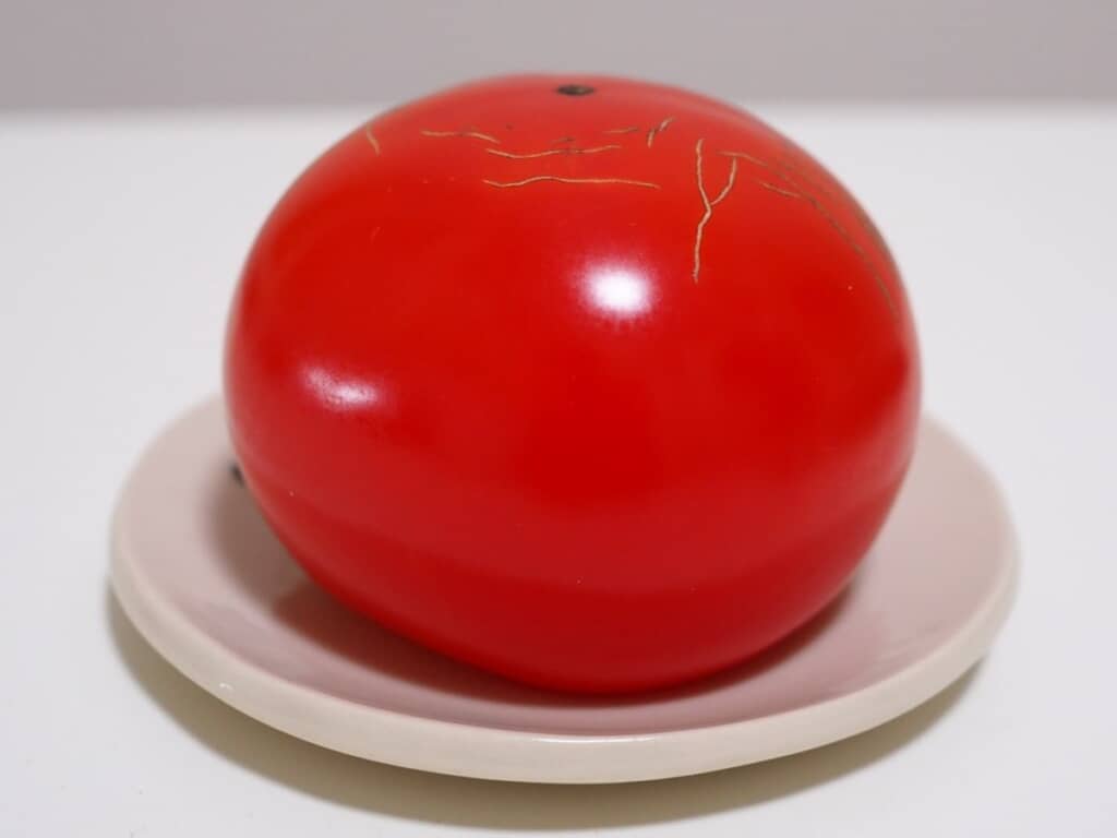 ツヤツヤに赤く輝く玉の正体は……？