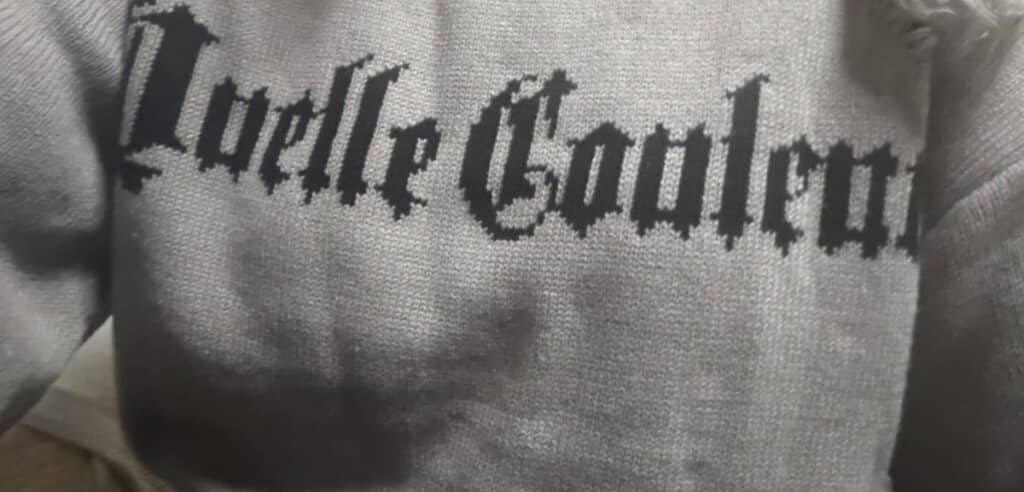 見た目が気に入って買ったばかりのロゴニットでしたが……