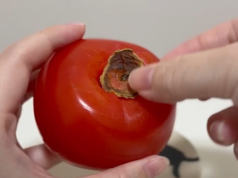 裏返してみると柿のヘタ