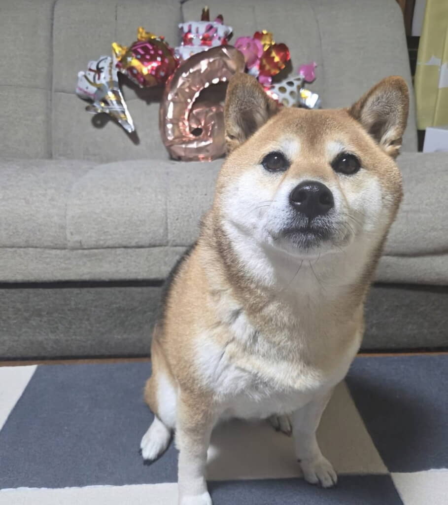 12月10日で6歳になりました！