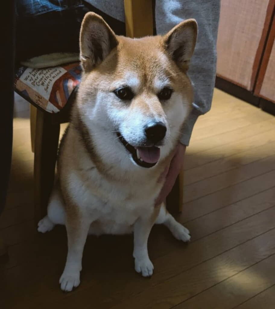 背中のマッサージをしてもらいご機嫌◎