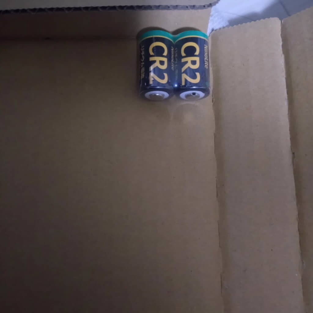 中身は電池2本だけ