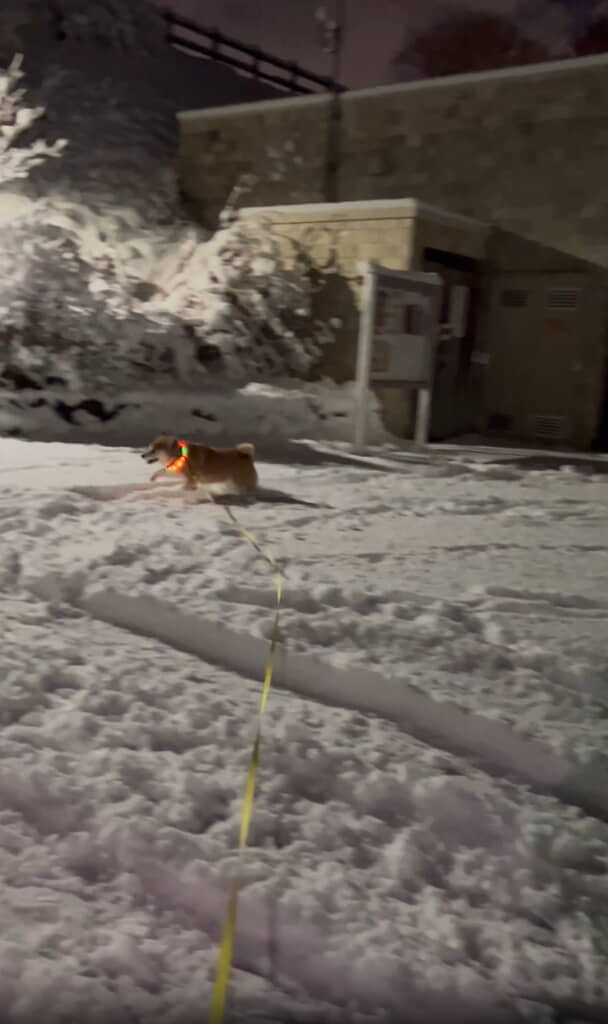 大喜びな姿がほほえましい