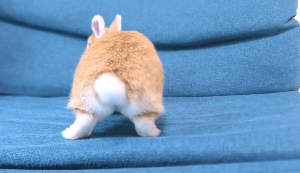 ファンサービスも忘れていません