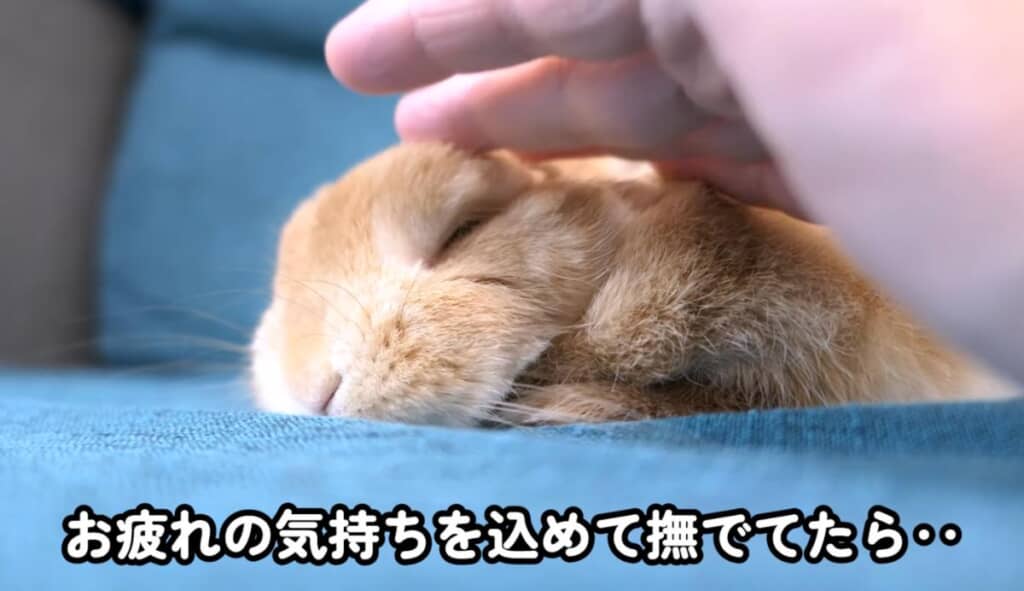 幸せそうな寝顔