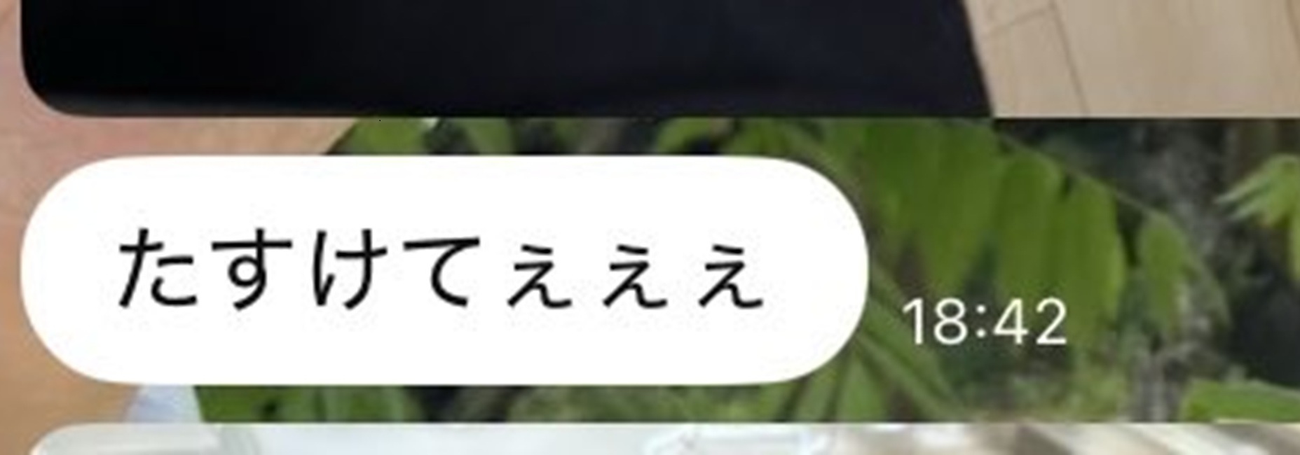 夫からのLINEをふと開くと……「たすけてぇぇぇ」　衝撃の姿が110万表示「果たして間に合うのか…」（1/3） | 小動物 ねとらぼ