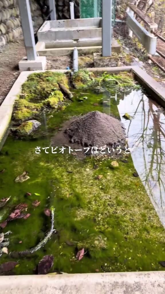 ビオトープの状態は……