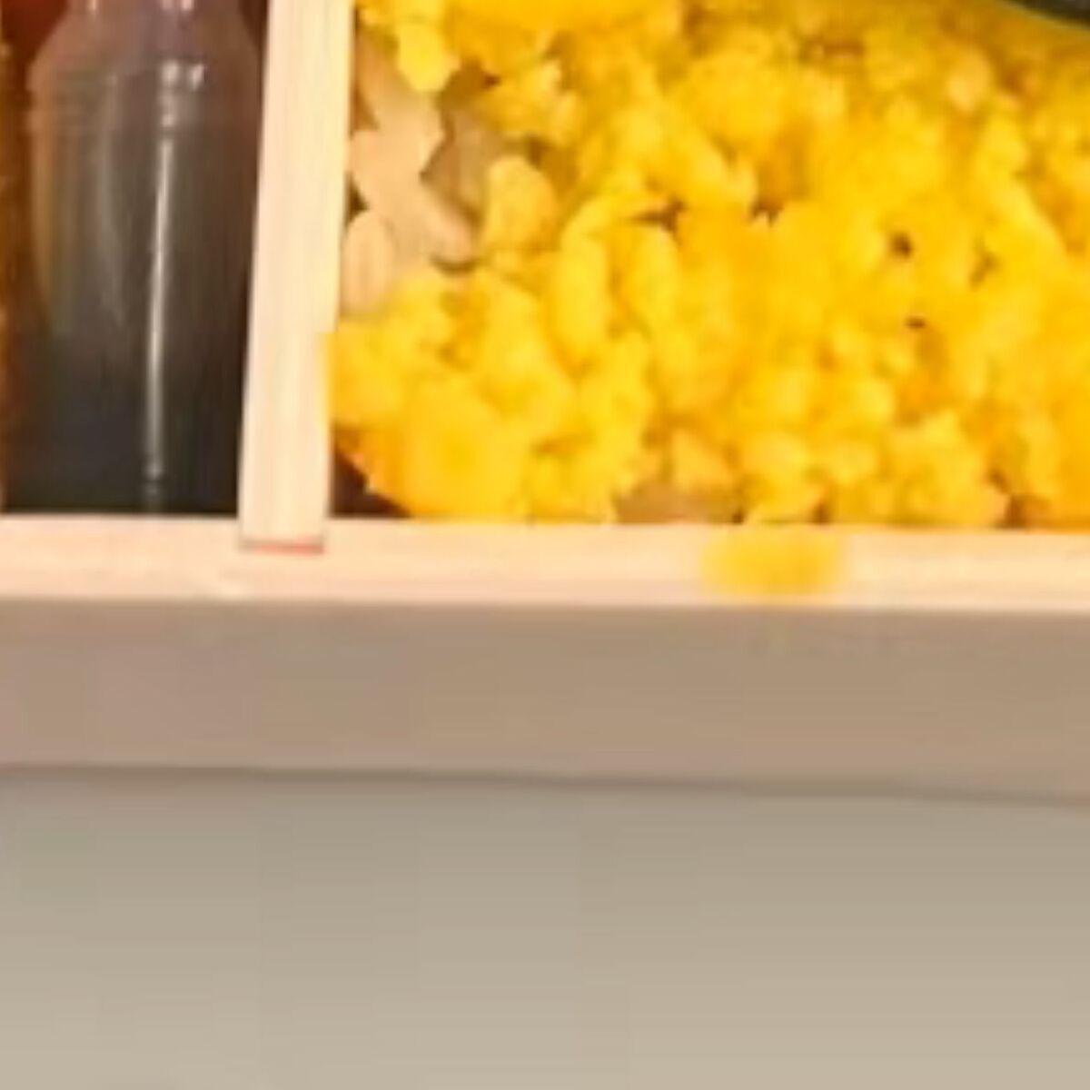 静岡駅で慌てて買った駅弁→ふたを開けたら……　「初めて見たんだけどw」まさかの中身に「いいなー！」「買いに行きたい」（1/3） | ライフスタイル ねとらぼ