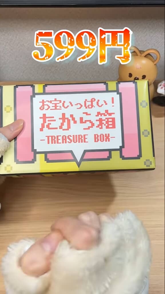 599円のたから箱を開封