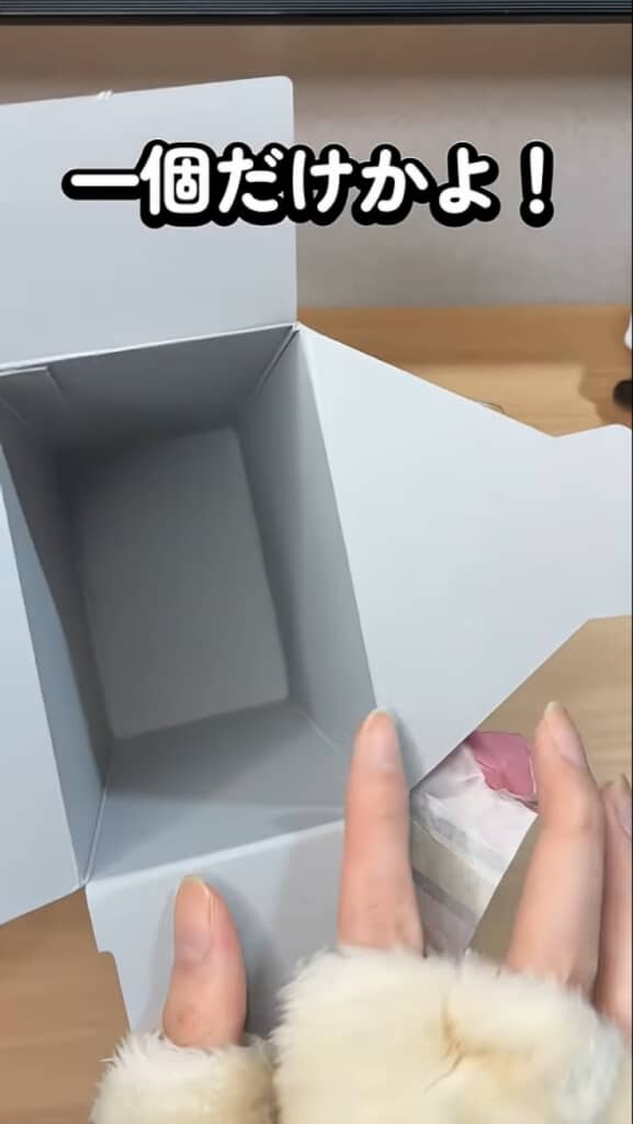 599円のたから箱を開封