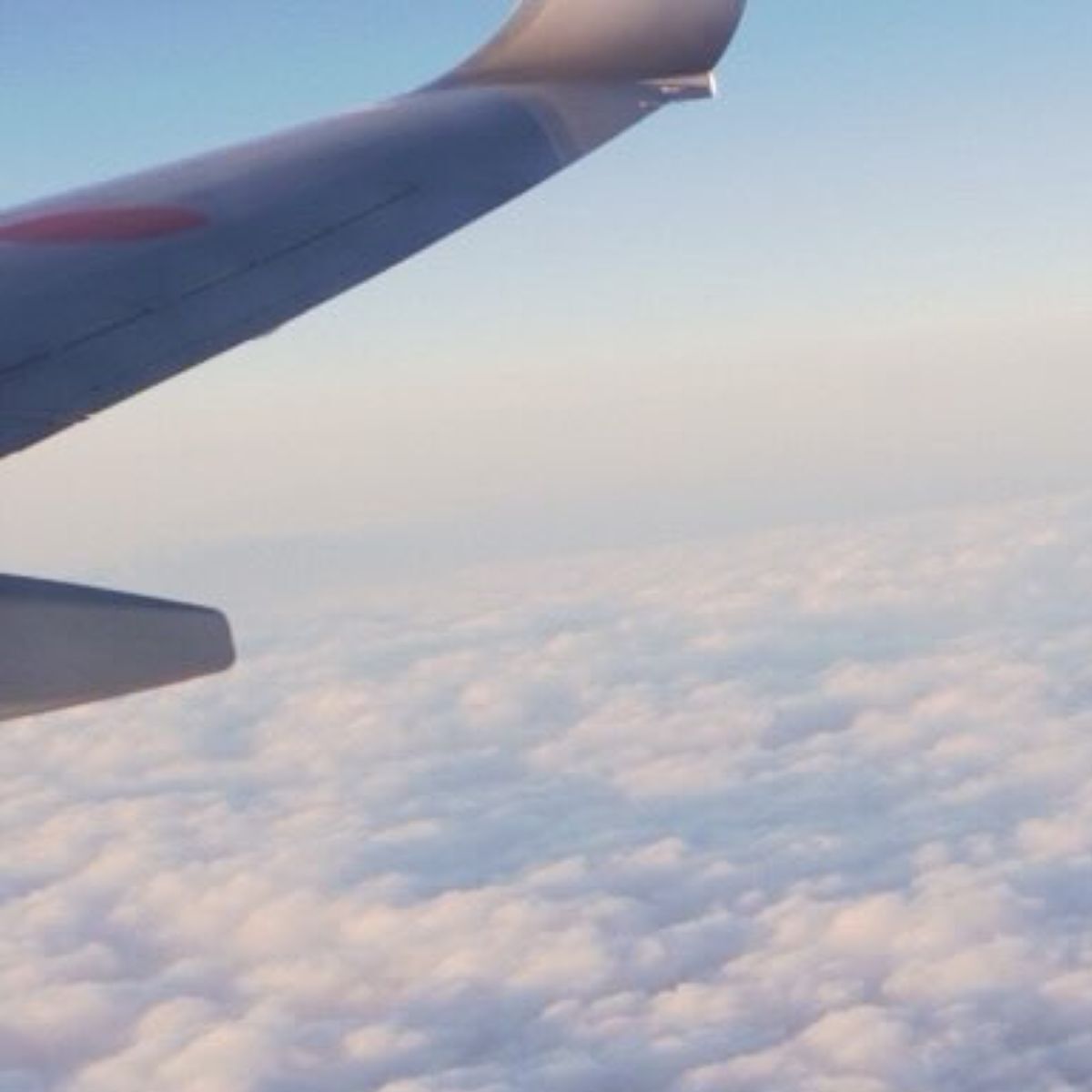 フランスから日本へ帰国中、機長からアナウンス→窓の外を見ると……　圧巻の光景に「震えた」「まさに日本の宝」 | 乗り物 ねとらぼ