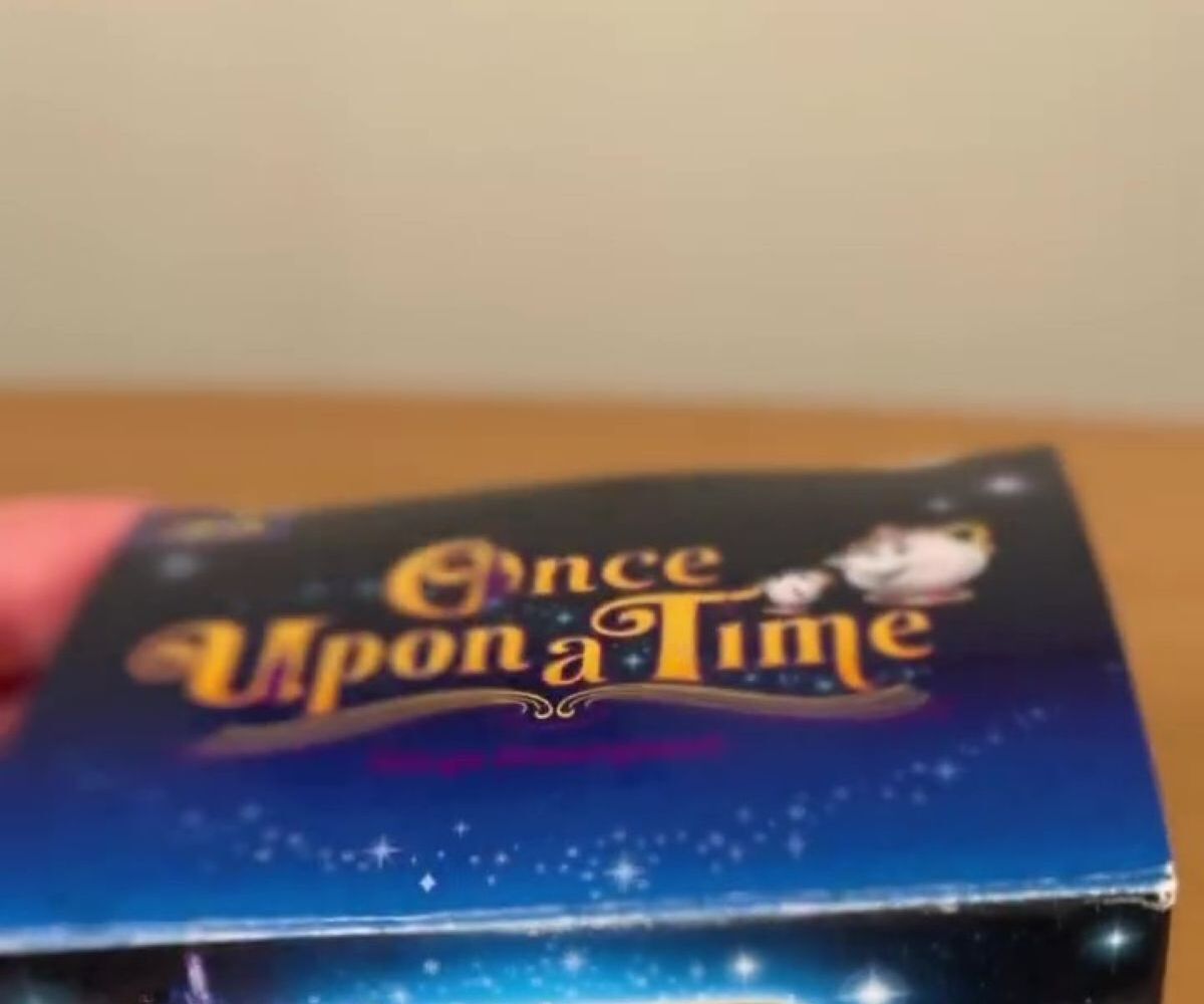 ディズニーで買った限定土産→開けたら……　思わず震えた“まさかの中身”に「これは知らなかった」「すんごく欲しい！」（1/3） | ライフスタイル ねとらぼ