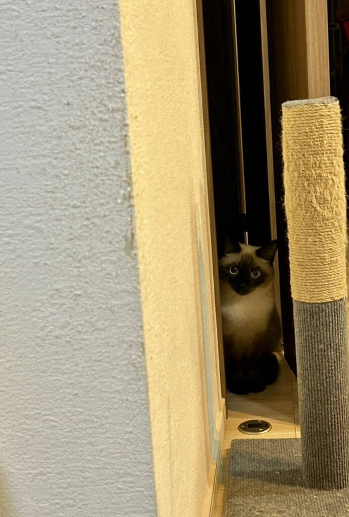 隙間をよく見ると……