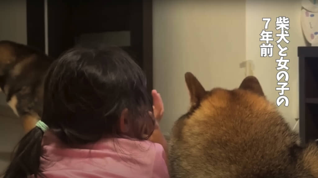 柴犬とSちゃんの7年前