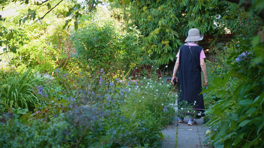 庭の散歩へと出かけました