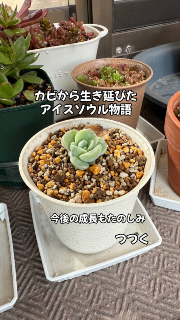 これからも大きく育ってほしい