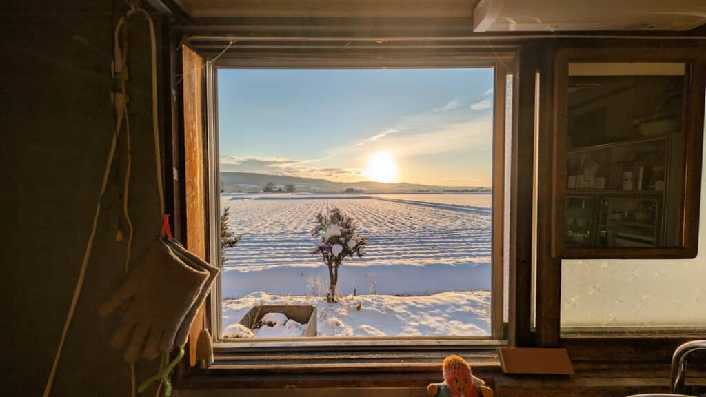 キッチンから見える風景！