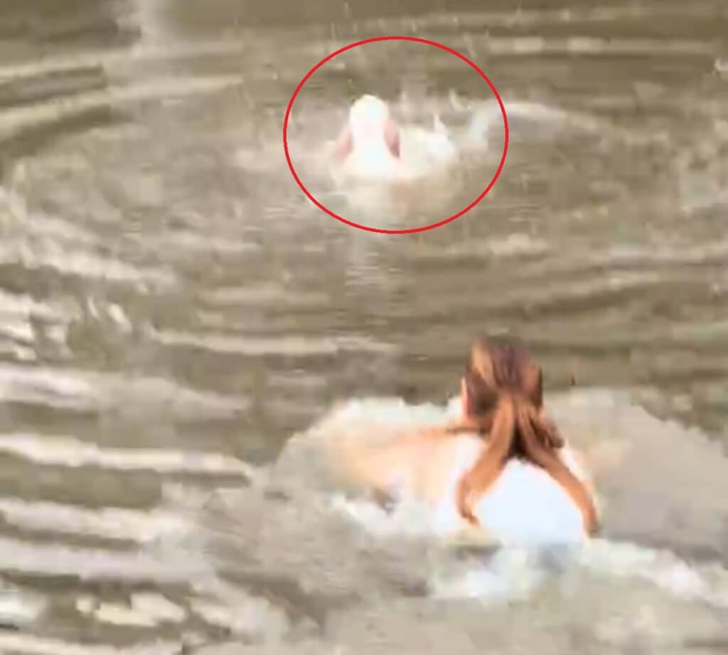 溺れる犬を助けようと水に飛び込んだ女性