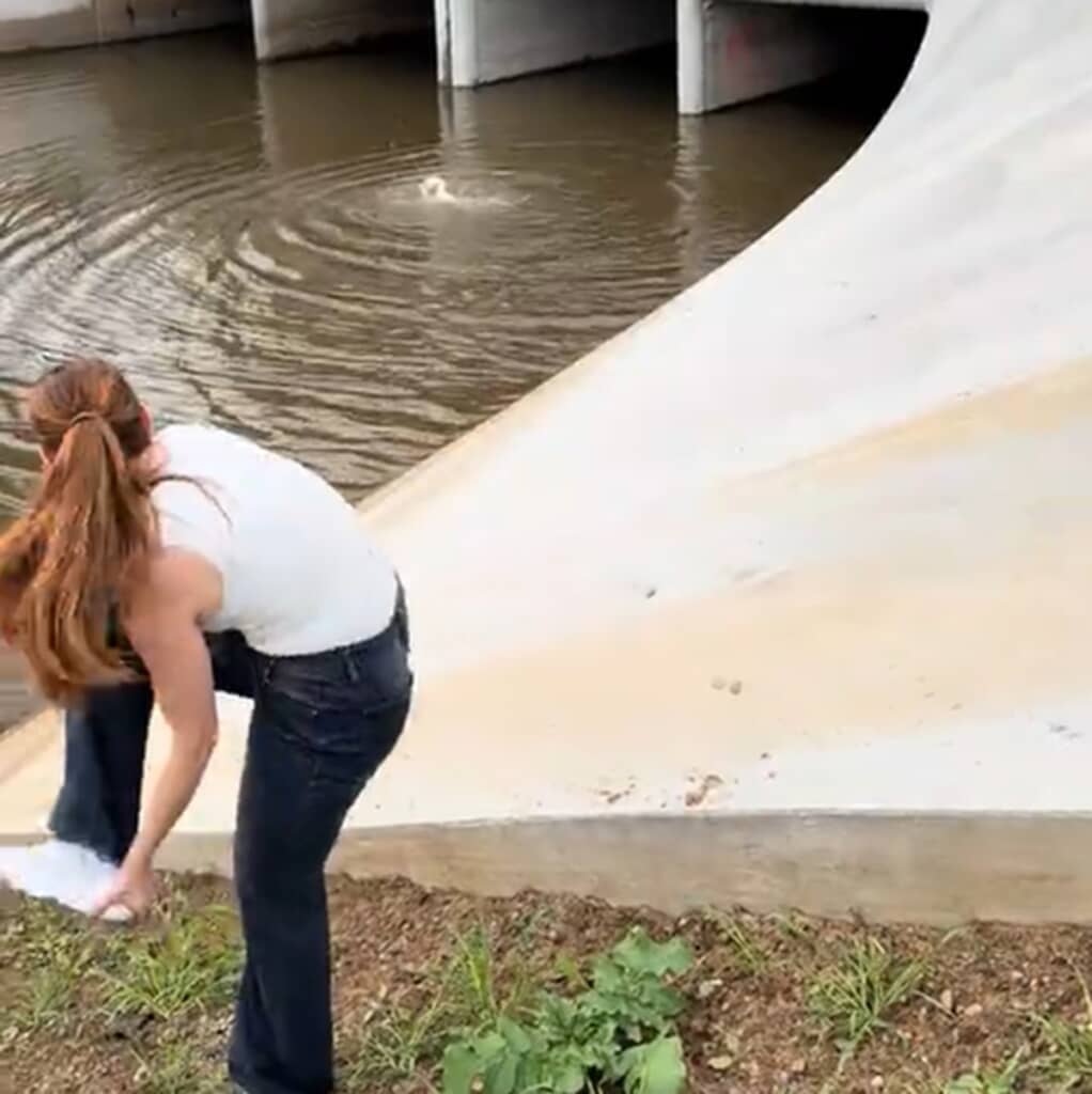 溺れる犬を助けようとする女性