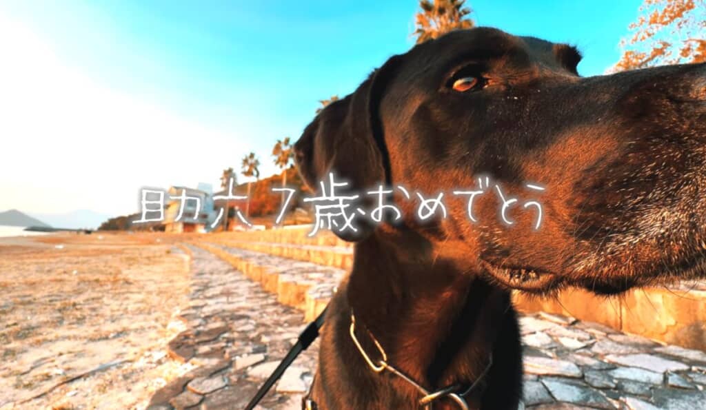 助六くん、7歳の誕生日！