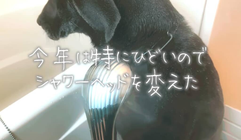 今年のプレゼントはお肌に優しいシャワーヘッド