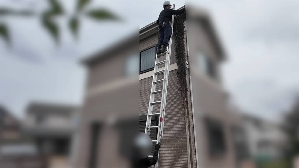 屋根のツタを取り除いたら