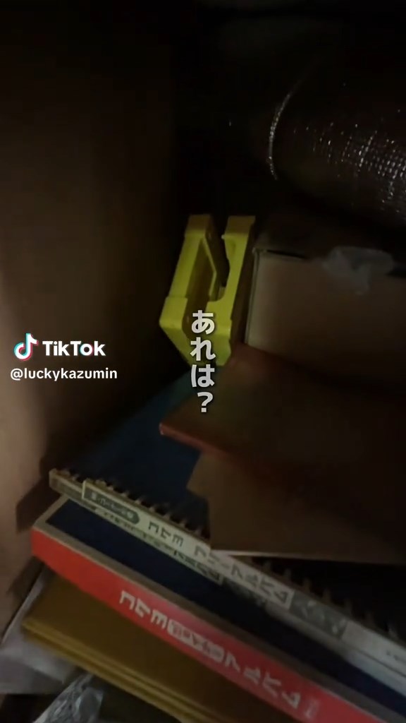 押し入れに眠る、黄色い物体の正体は……？