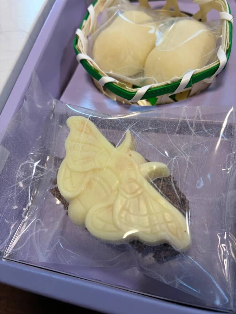 繭型チョコと成虫形チョコをアップで撮った写真