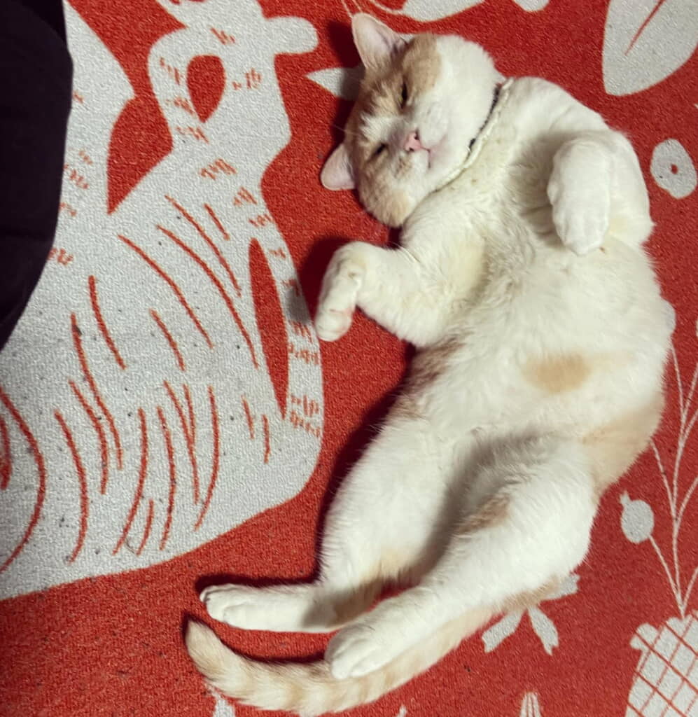 お家でリラックス