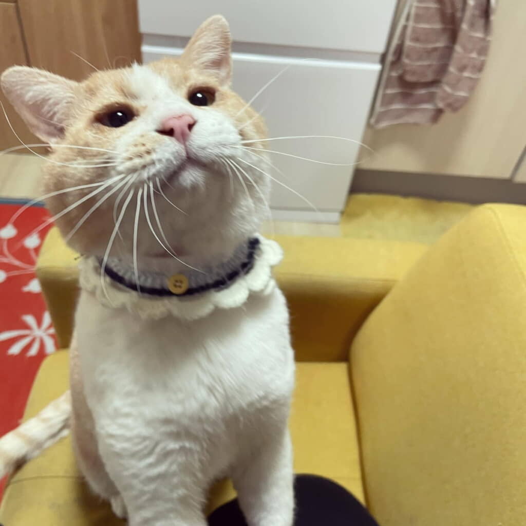 楽しみなおやつの時間