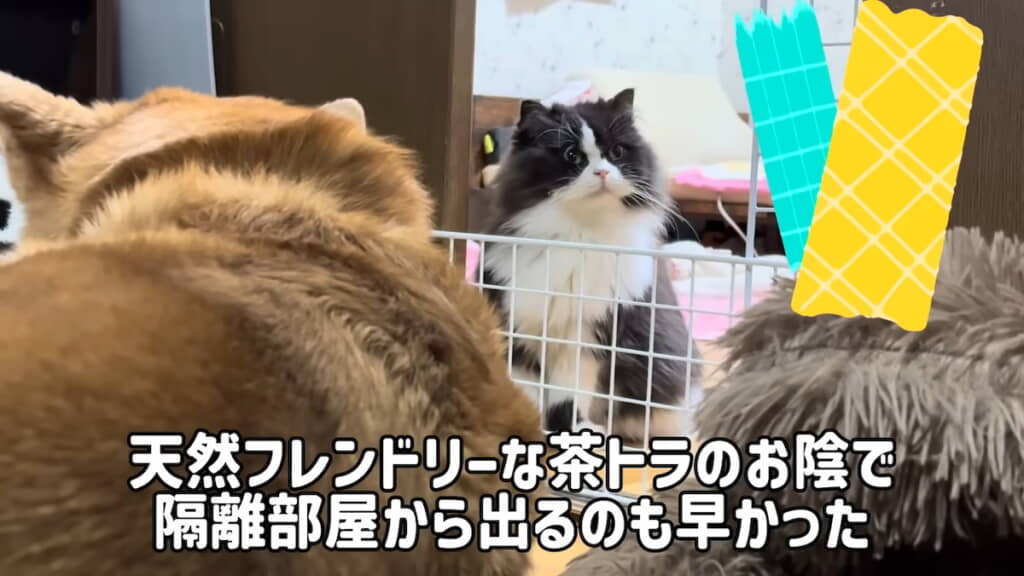 隔離部屋からは早く出られた
