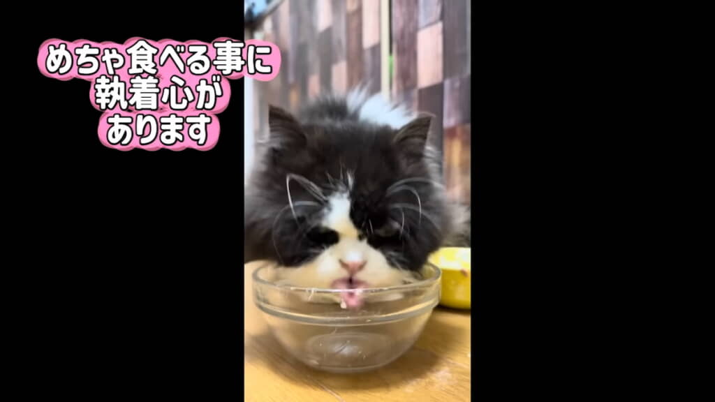 食べることに執着心がある
