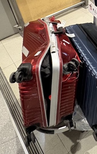 「ここまで壊れながらも中身は守ったスーツケースがすごい」といった声も