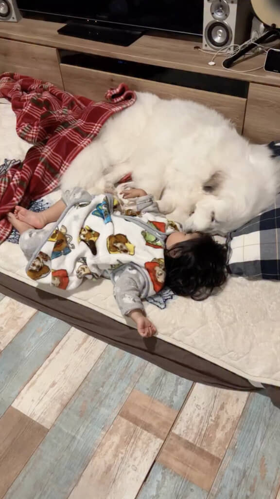 寝かしつけ中、トイレに行って戻ってきたら……