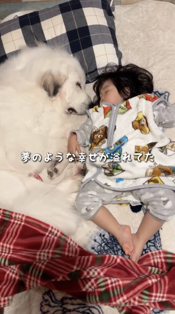 なんて幸せな光景……！