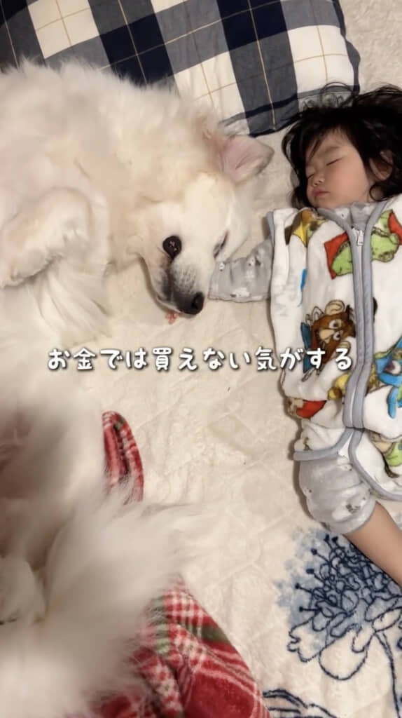 ろのちゃんの手に頭をすりすりするシュシュちゃん