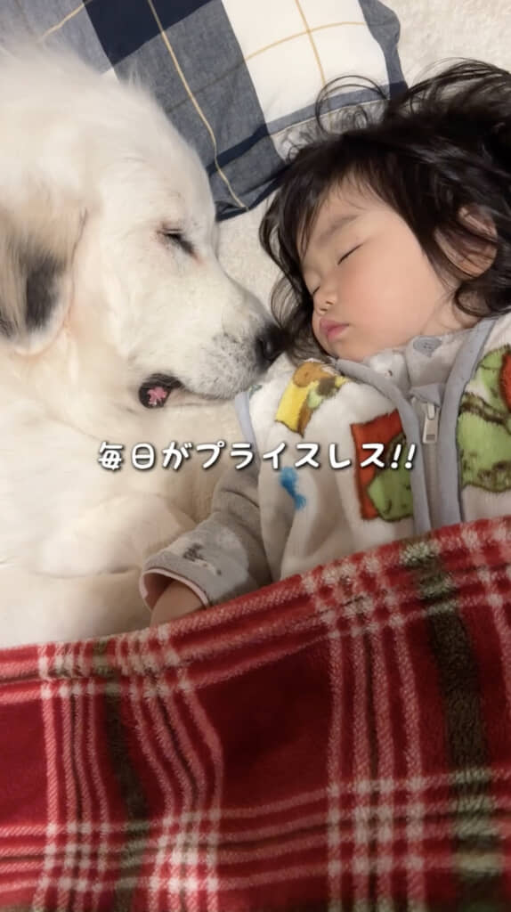 かわいすぎる……